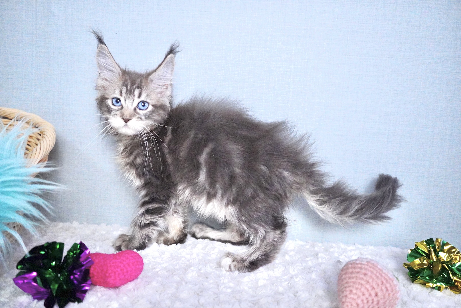 セフィアちゃんの写真5